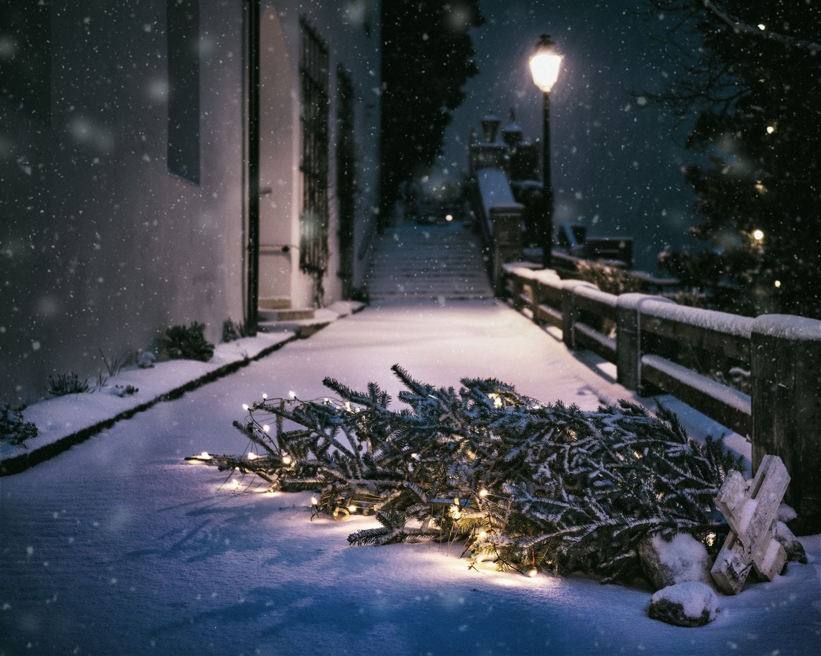 Ośnieżona ścieżka nocą z jasno świecącą choinką zimą