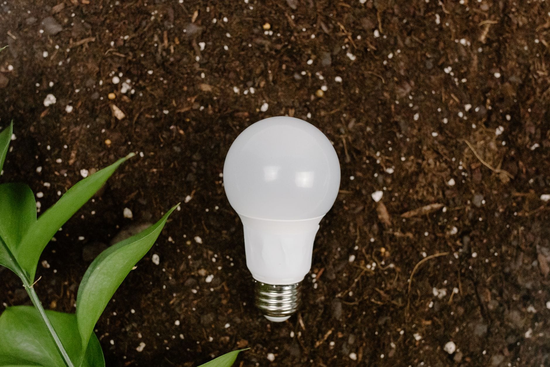 Żarówka LED leżąca na ziemi wśród zielonych liści, symbol recyklingu